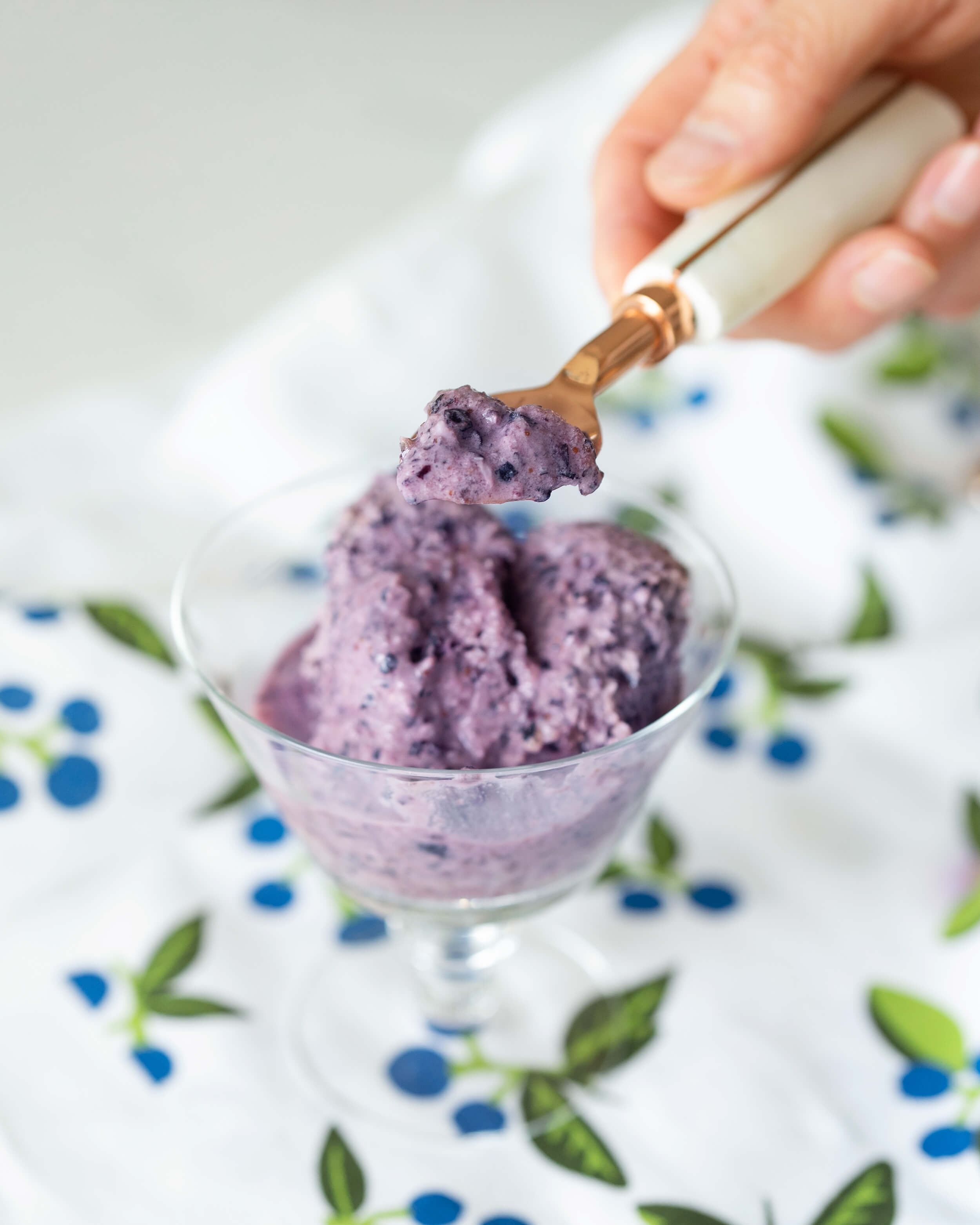 homemade blueberry ice cream | dairy-free