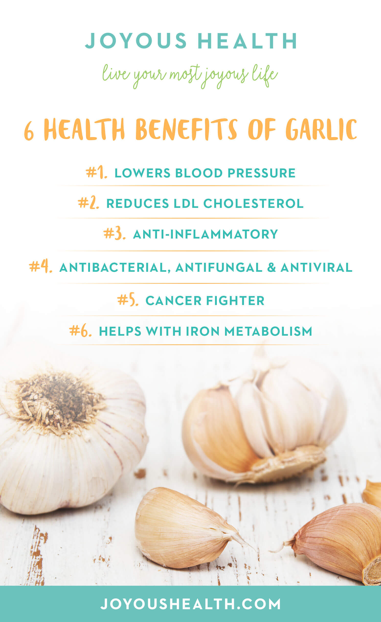 6 Health Benefits Of Garlic • Joyous Health