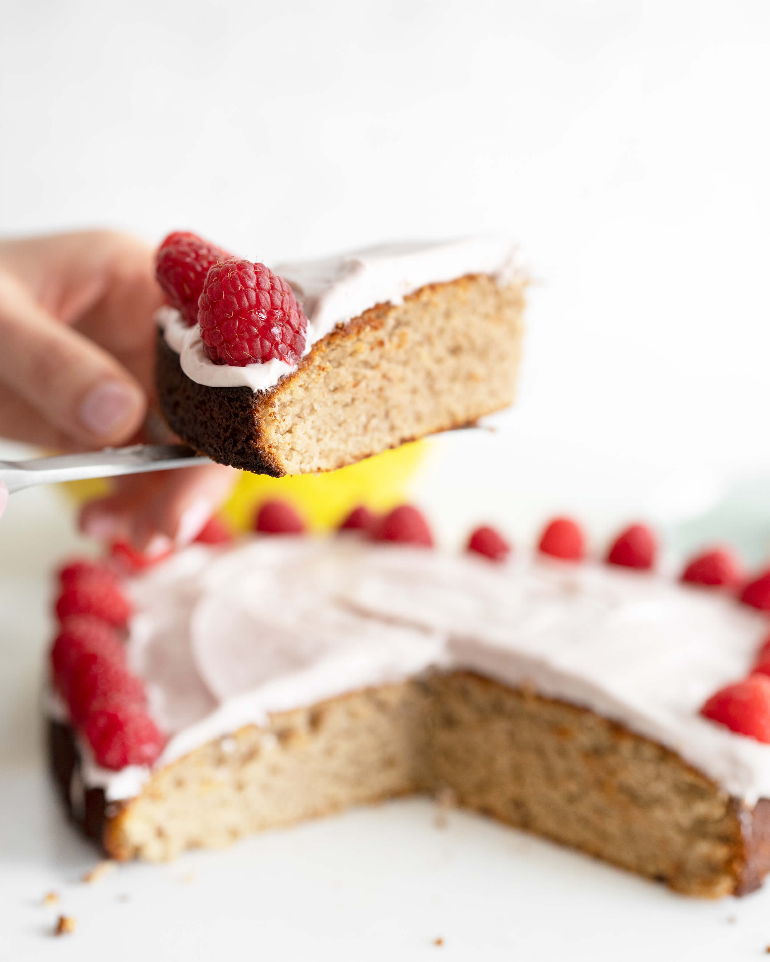 Almond Flour Raspberry Cake • Joyous Health